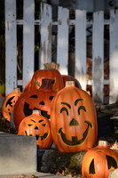 FALL SEASON