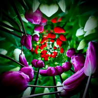 SUMMER 2021